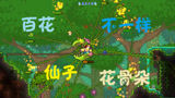 泰拉瑞亚 terraria 汉化版MOD 154 维度之魂！