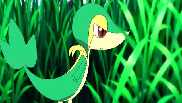 武藏想收服叶藤蛇,却遭到嘲讽