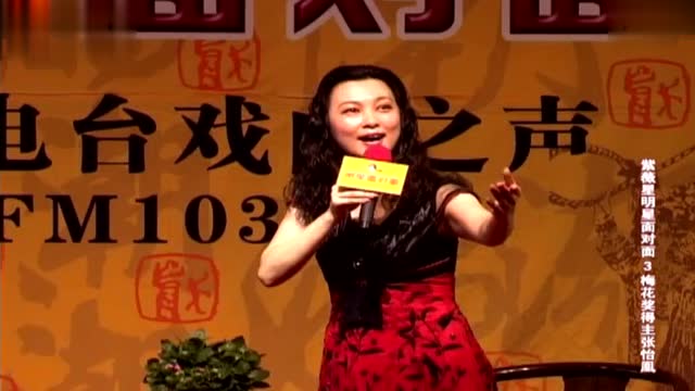 潮剧明星面对面张怡凰