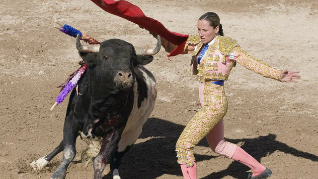 女斗牛士的伤痛,一个小失误瞬间就被公牛当场顶飞了