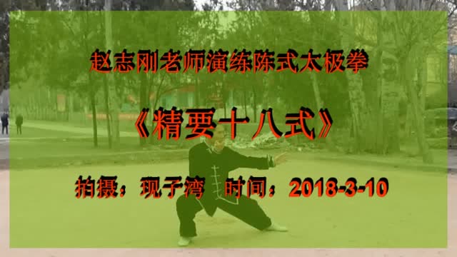 赵志刚老师演练陈式太极拳《精要十八式》