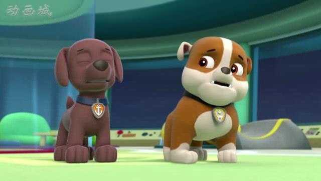 汪汪队:新朋友的高傲,灰灰和汪汪小分队的成员闹矛盾了