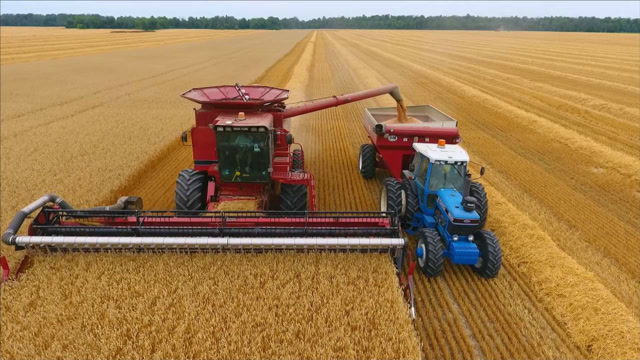 26台大型收割机一起收割!这个农场主太有钱啦!