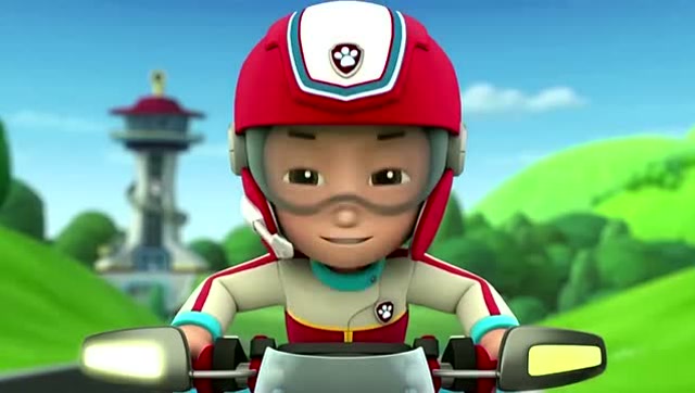 拯救海象的任务!莱德队长带着狗狗们全体出动