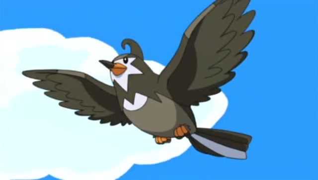 打不赢就进化系列——小智的姆克儿乘风而起,进化为姆克鸟!