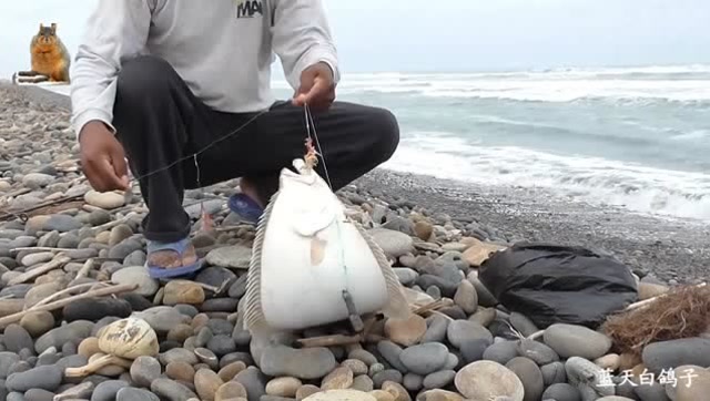 钓鱼:海蟑螂做饵,岸钓比目鱼