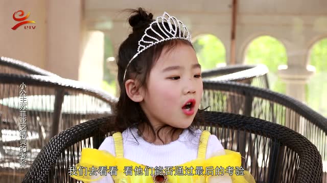 快乐起跑线《小公主苏菲亚之精灵的考验》