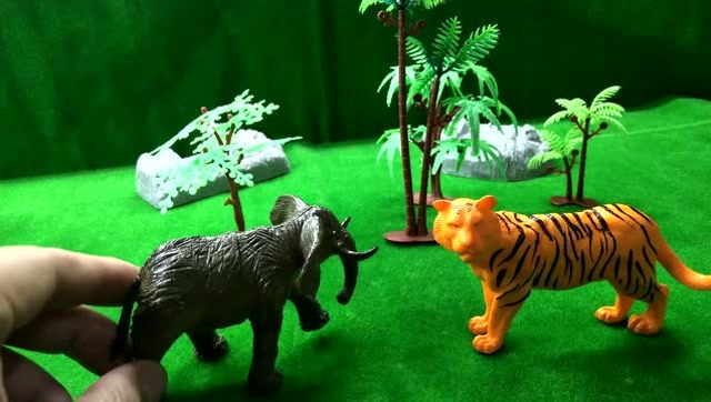 老虎欺负大象,大象的好朋友们犀牛来了,好好的教训了老虎