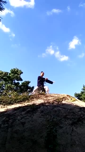 道长好意境!武当凌云