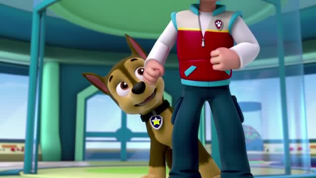 汪汪队:阿奇和天天在比试狗狗跳舞机