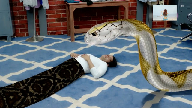 男子变身成为蛇晕倒,蛇女妻子现真身带他离开