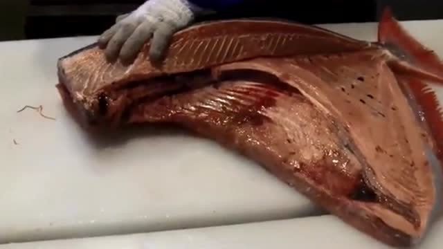 刀工老师傅切割月亮鱼,堪称精妙绝伦