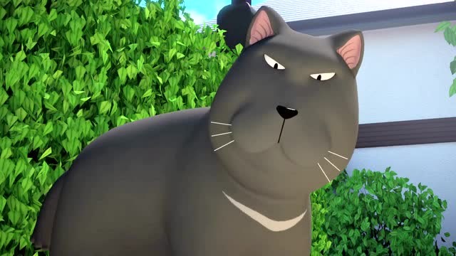 《甜甜私房猫》这种捉迷藏一点都不好玩,大黑怎么玩得那么开心呢