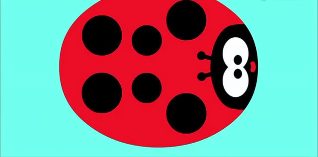 《嗨道奇》为什么瓢虫的身上有六个点点又叫七星瓢虫呢?