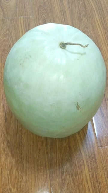 白皮白瓤大西瓜