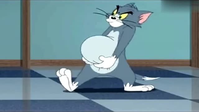 新猫和老鼠汤姆怀孕了挺着个大肚子马上要生小汤姆猫了