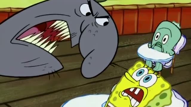 海绵宝宝的新驾校教练是一条恶霸鲨鱼,把学员全都吓跑了!