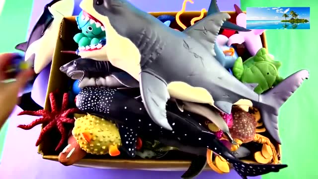 儿童益智早教:超大的鲸鲨玩具放在海洋玩具箱