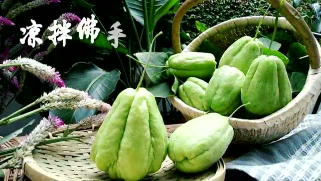 丹霞山燕子呢喃椿树厨房燕子妈妈凉拌佛手瓜