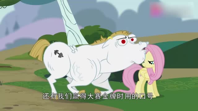 小马宝莉 大块头也能飞