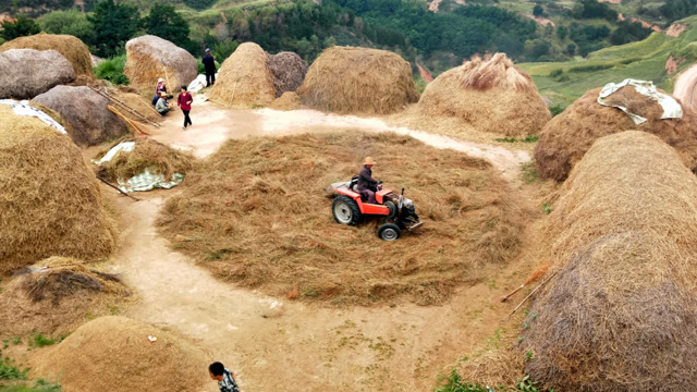 实拍甘肃人碾场,开着拖拉机转圈圈,你看技术怎么样?