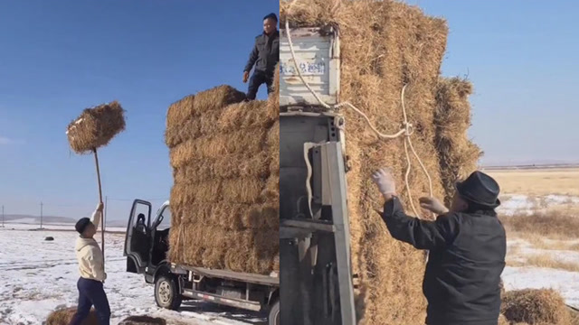 生动诠释了什么叫压死骆驼的最后一根稻草!