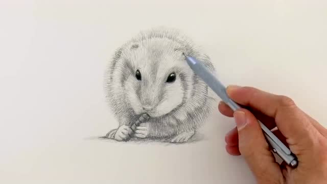 素描画一只吃东西的仓鼠