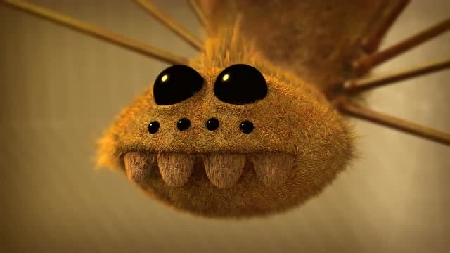 昆虫总动员:也想吃巧克力的蜘蛛