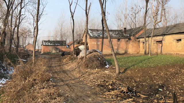 河南周口:实拍郸城白马镇农村,老大爷在门口垫路,看着让人心酸