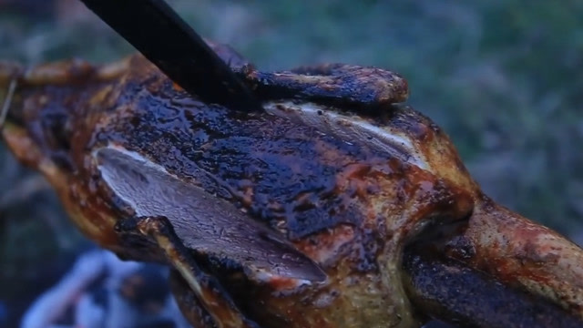 小妹野外做烤鸭,抹上酱汁口水直流,吃到天黑才罢休