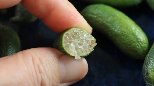 世上最贵水果,"手指柠檬"一公斤1000多元,堪称水果中的"王思聪"!