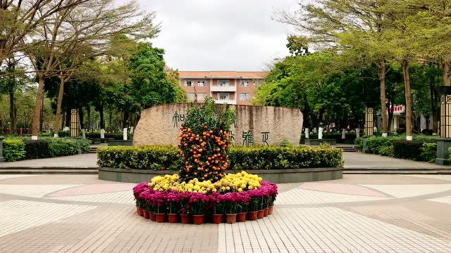 阳东广雅学校开学啦!