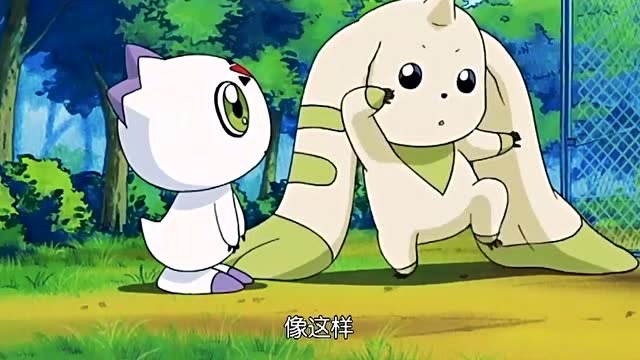 数码宝贝:大耳兽和古乐兽好可爱啊,还教他太极拳