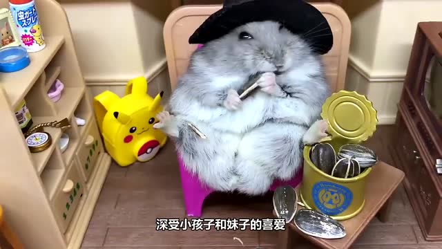 奇葩主人把小仓鼠丢进一箱葵瓜子中,再拿起来时仓鼠脸都"肿"了