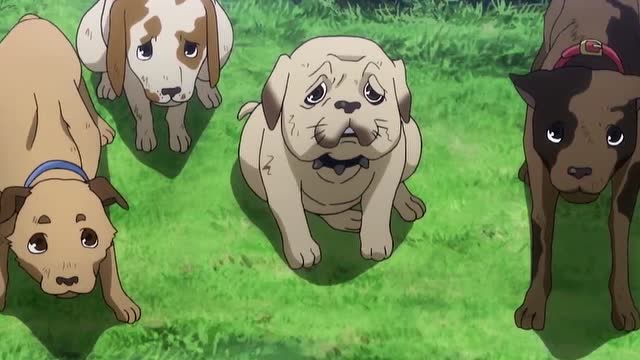 全职猎人 变色龙梅雷翁对拿酷戮的印象来个360度的转变!