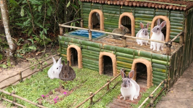 农村简易兔子窝的搭建图片