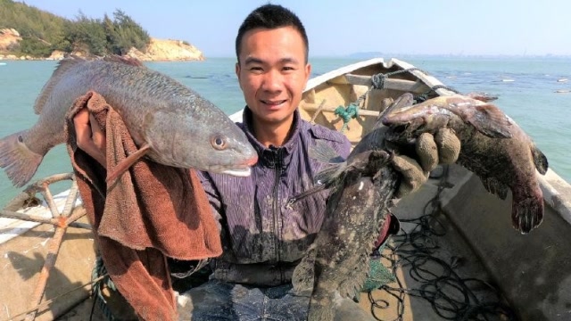 渔人阿烽:阿烽赶海,特意为丈母娘捕一桶海货,网友:这女婿真孝顺!
