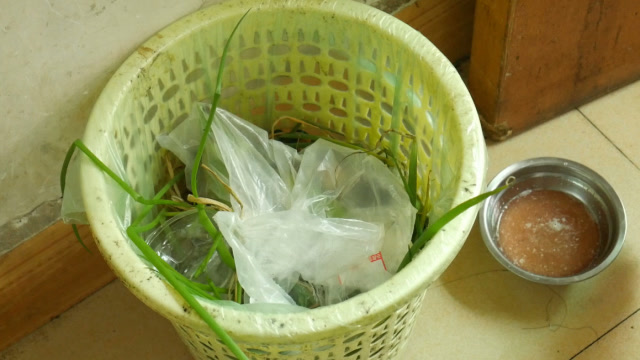 垃圾桶里容易滋生小飞虫?教你简单一招,小飞虫彻底消失不见