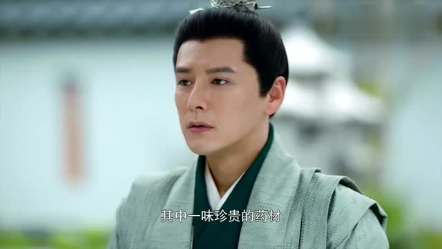 白发王妃:萧煞提出只有七绝草,才能作为药引子治可儿的病