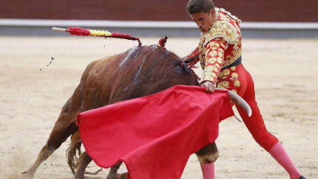 为什么斗牛要用红布?答案让人大跌眼镜!