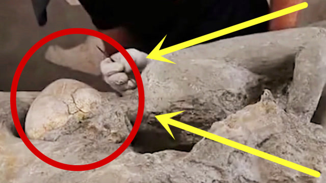 一对情侣被火山吞没,千年后出土变成化石,他们姿势令人心酸不已