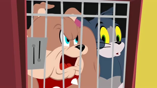新猫和老鼠:布奇前去探望汤姆,真是讨厌一副幸灾乐祸的样子.