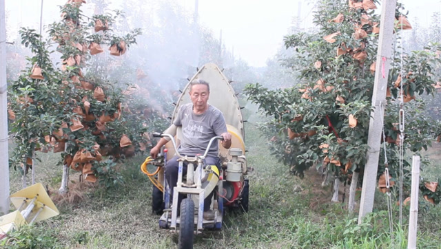 农民老王种苹果有方法用打药机给果树打农药看完感叹真方便