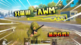 和平精英：只用一把AWM吃鸡，决赛圈打开机瞄，结局如何？