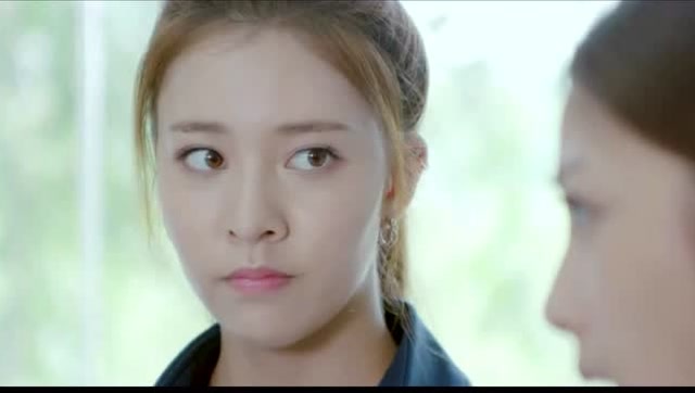 神犬小七3速看版第33集周茉为小七做手术小七喜当爹