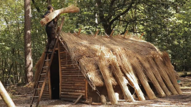 在森林里搭建一座茅草屋,人们的祖先也是这样建造住所的么?