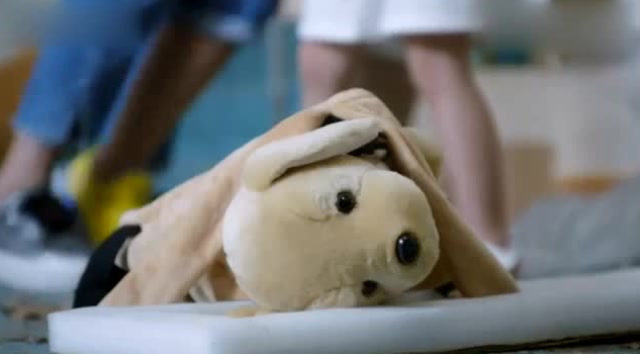 神犬小七3:狗狗救援遭绑架犯毒打,饭桶寻求帮助