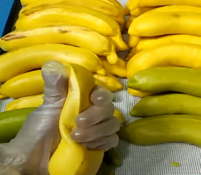 长得像香蕉样的面包,用手剥开的那一刻,真想上去咬一口!