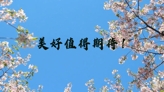 西部区:因为有你,美好值得期待!