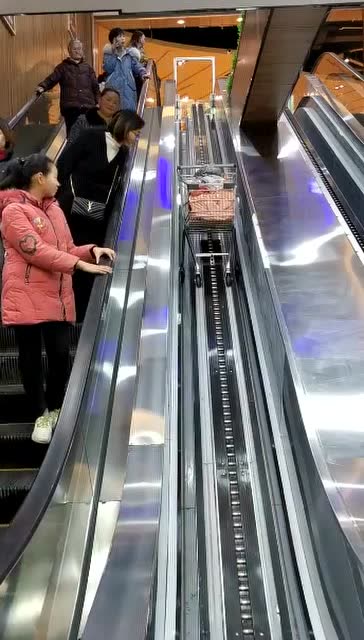 超市人性化的服务,购物车都有电梯坐,我要买更多的食物